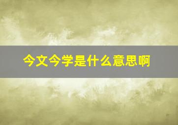 今文今学是什么意思啊