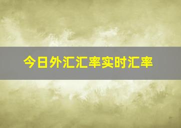 今日外汇汇率实时汇率