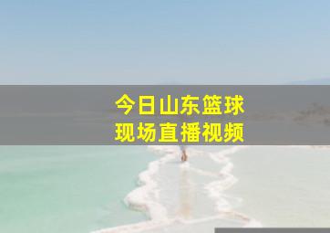 今日山东篮球现场直播视频