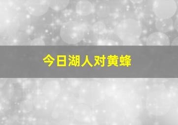 今日湖人对黄蜂