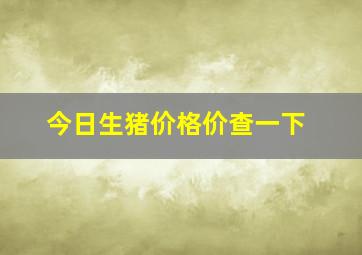 今日生猪价格价查一下