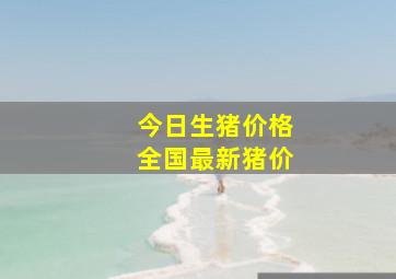 今日生猪价格全国最新猪价