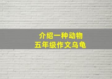 介绍一种动物五年级作文乌龟