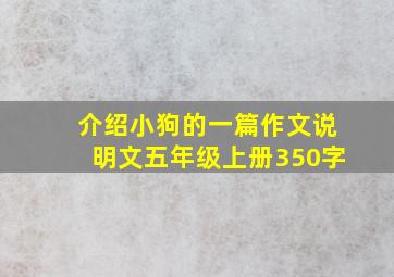 介绍小狗的一篇作文说明文五年级上册350字