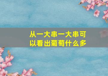 从一大串一大串可以看出葡萄什么多