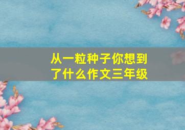 从一粒种子你想到了什么作文三年级