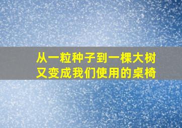 从一粒种子到一棵大树又变成我们使用的桌椅