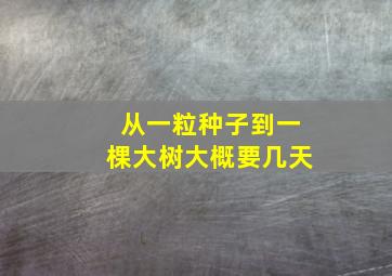 从一粒种子到一棵大树大概要几天