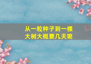 从一粒种子到一棵大树大概要几天呢