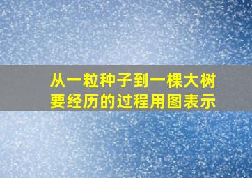 从一粒种子到一棵大树要经历的过程用图表示