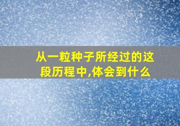 从一粒种子所经过的这段历程中,体会到什么