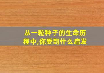 从一粒种子的生命历程中,你受到什么启发