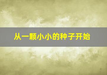 从一颗小小的种子开始