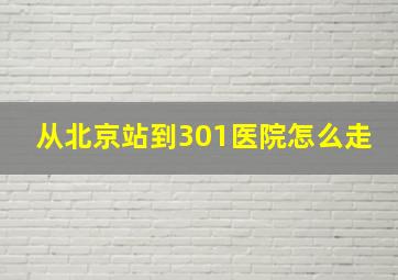 从北京站到301医院怎么走