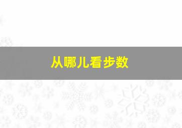 从哪儿看步数