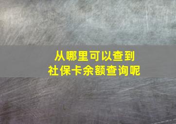 从哪里可以查到社保卡余额查询呢