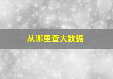 从哪里查大数据