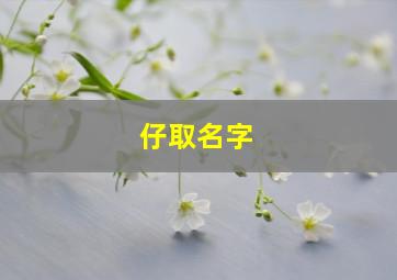 仔取名字