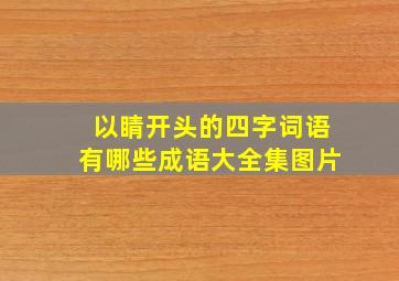 以睛开头的四字词语有哪些成语大全集图片