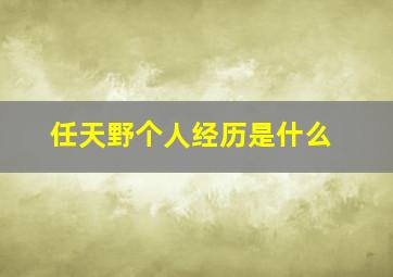 任天野个人经历是什么