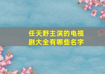 任天野主演的电视剧大全有哪些名字