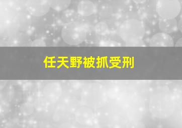 任天野被抓受刑