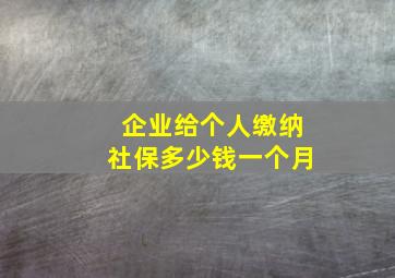 企业给个人缴纳社保多少钱一个月