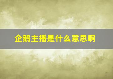 企鹅主播是什么意思啊