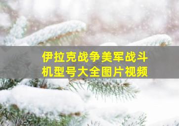 伊拉克战争美军战斗机型号大全图片视频