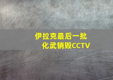 伊拉克最后一批化武销毁CCTV