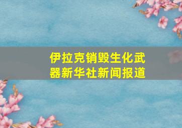 伊拉克销毁生化武器新华社新闻报道