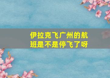 伊拉克飞广州的航班是不是停飞了呀