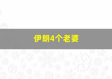 伊朗4个老婆