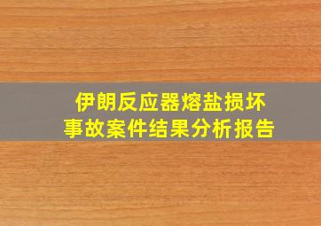 伊朗反应器熔盐损坏事故案件结果分析报告