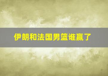 伊朗和法国男篮谁赢了