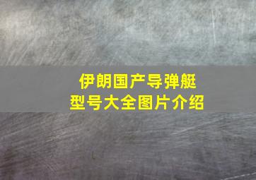 伊朗国产导弹艇型号大全图片介绍