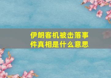 伊朗客机被击落事件真相是什么意思