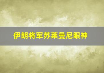 伊朗将军苏莱曼尼眼神