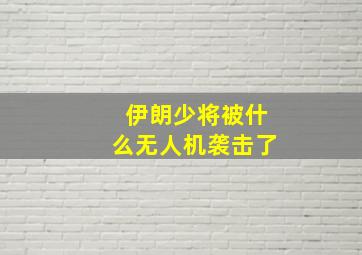 伊朗少将被什么无人机袭击了