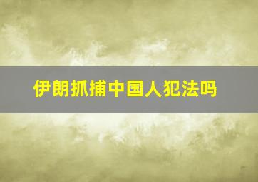 伊朗抓捕中国人犯法吗