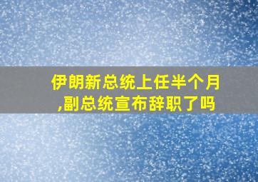 伊朗新总统上任半个月,副总统宣布辞职了吗