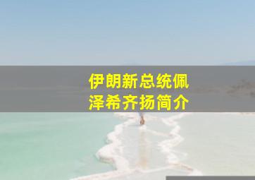 伊朗新总统佩泽希齐扬简介