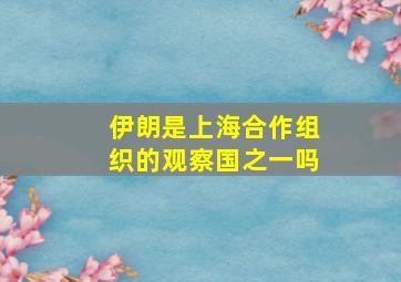 伊朗是上海合作组织的观察国之一吗