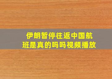 伊朗暂停往返中国航班是真的吗吗视频播放