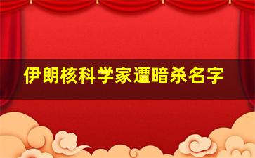 伊朗核科学家遭暗杀名字