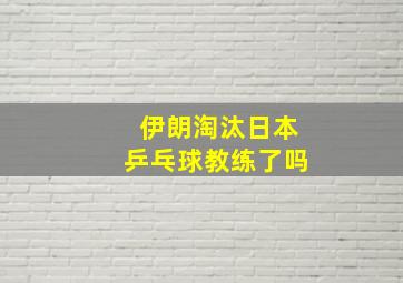 伊朗淘汰日本乒乓球教练了吗