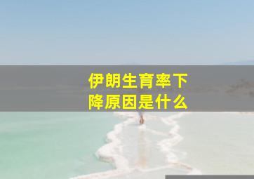 伊朗生育率下降原因是什么