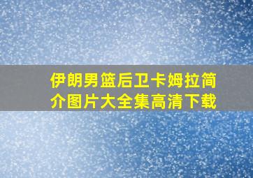 伊朗男篮后卫卡姆拉简介图片大全集高清下载