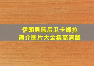 伊朗男篮后卫卡姆拉简介图片大全集高清版