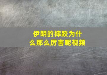 伊朗的摔跤为什么那么厉害呢视频